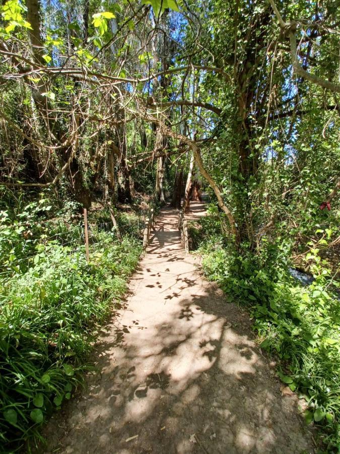 Casa Sendero Del Rio El Bosque